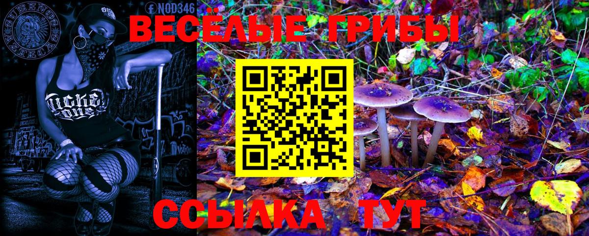 Галлюциногенные грибы ЛСД Мурманск